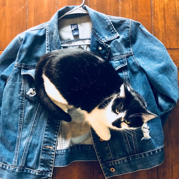 Gap Denim Jacket - slight distressing - Picture 8 of 8